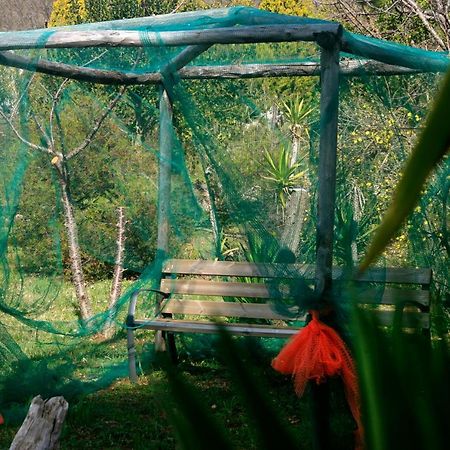 Agriturismo Parco Dai Nonni Ischitella Dış mekan fotoğraf
