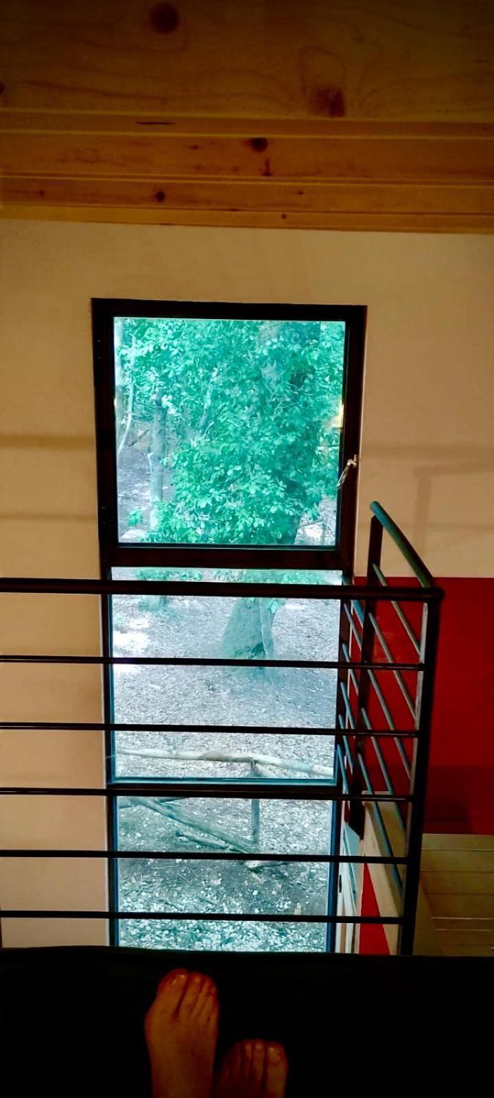 Agriturismo Parco Dai Nonni Ischitella Dış mekan fotoğraf